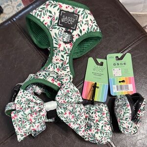 Sassy Woof Green Dog Harness and Matching Bow Collar Matching Waste Bag Holders
